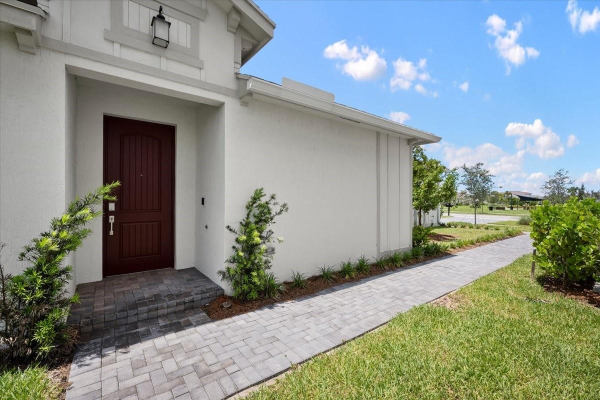1342 Tangled Orchard
