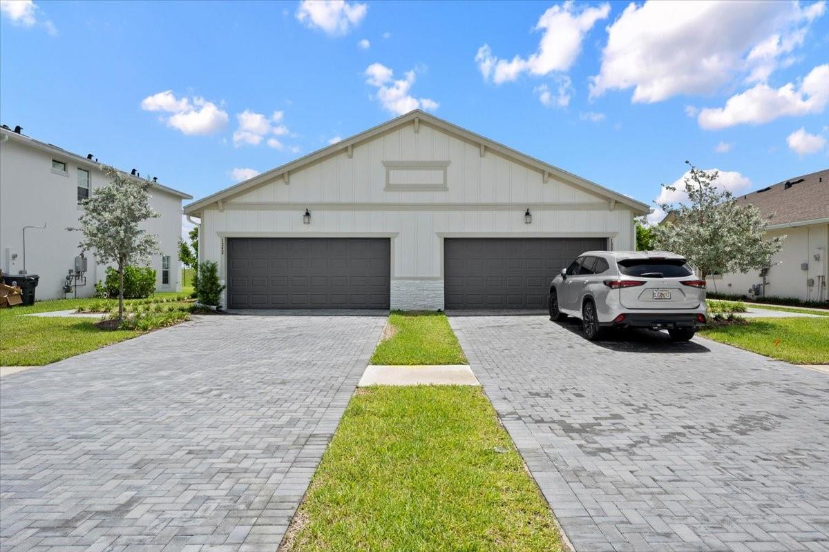1342 Tangled Orchard