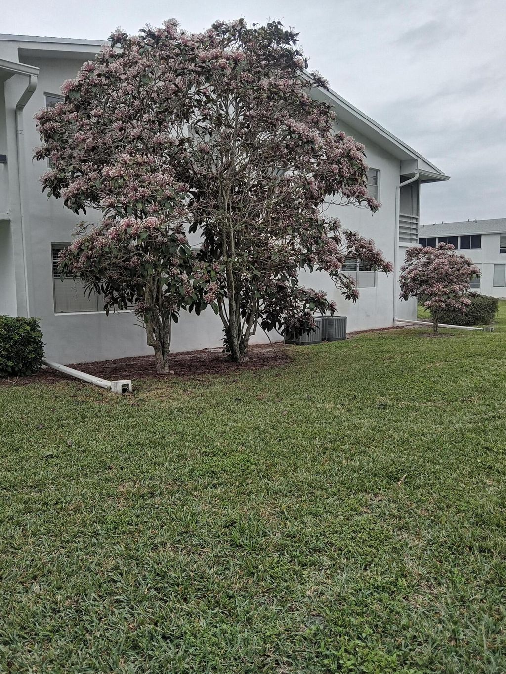 Photo of 302 Markham E #302, Deerfield Beach, FL 33442 (MLS # R11160079)