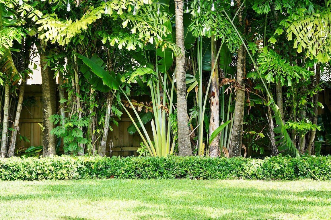 Rio Vista Isles - Residential