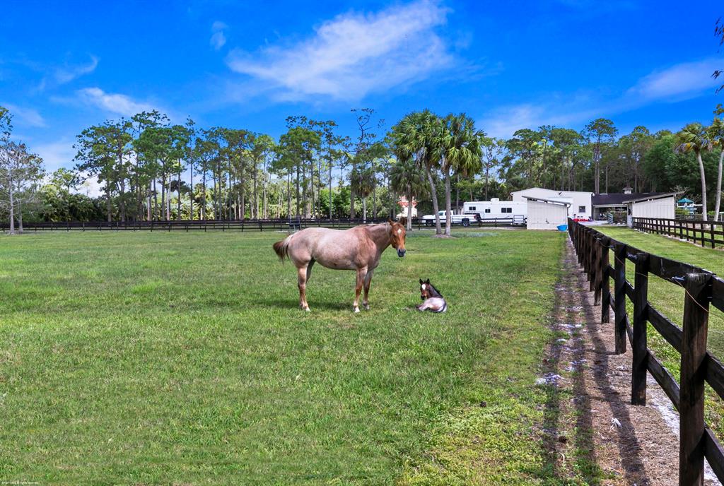 LOXAHATCHEE GROVES - Residential