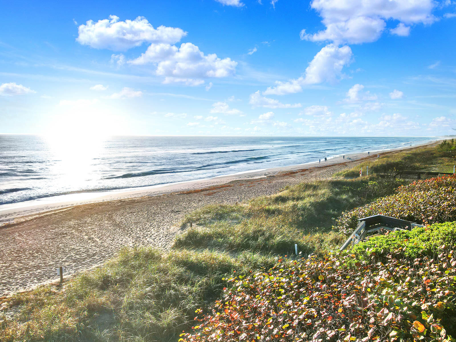 Venture III/Venture harbour - Residential