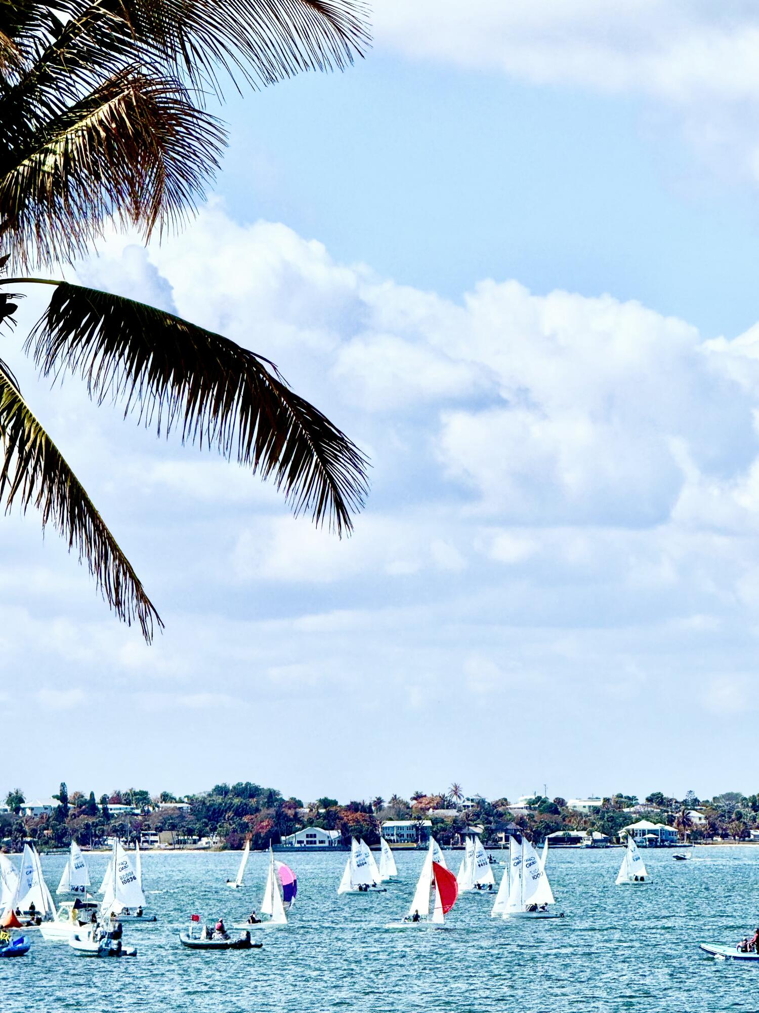 Venture III/Venture harbour - Residential