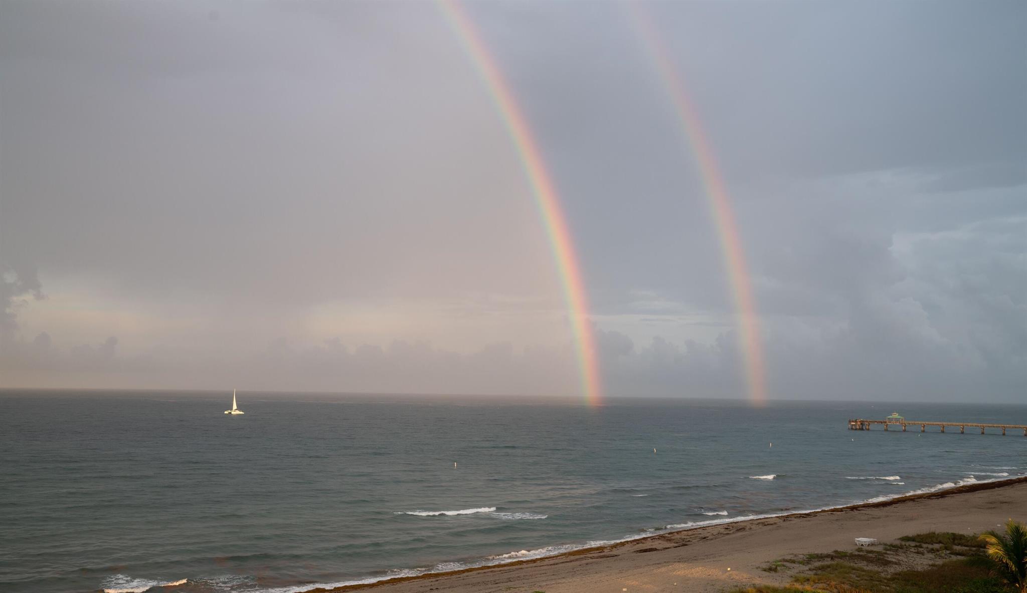 OCEAN TOWERS - Residential