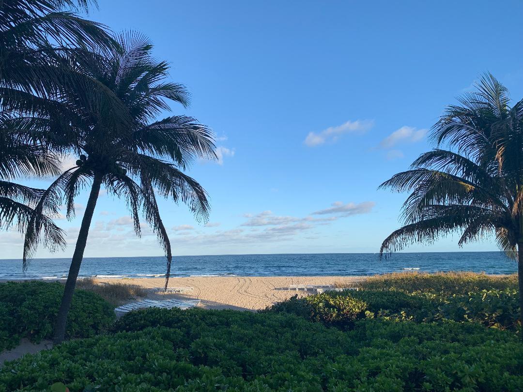 OCEAN TOWERS - Residential