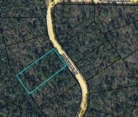 Tbd Rossville Avenue