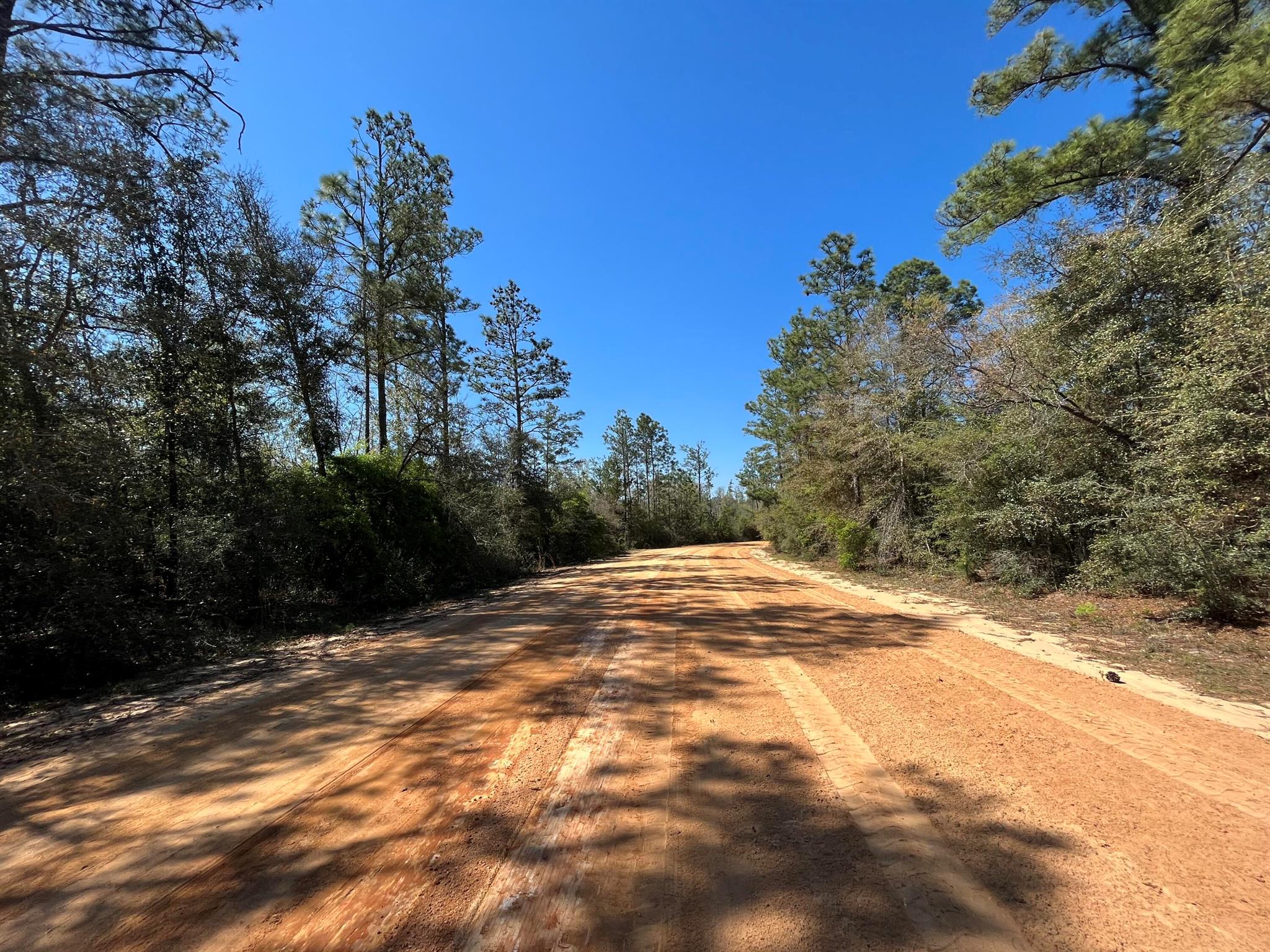Tbd Rossville Avenue