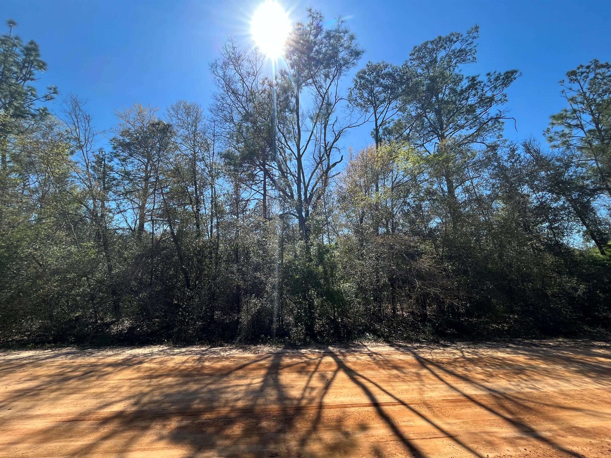 Compass Lake in the Hills offers a wooded 1.2-acre residential lot near Marianna, FL. This serene property is an ideal canvas for your dream home. It's conveniently situated close to Compass Lake, a picturesque spot for boating, skiing, fishing, and swimming. The community amenities include a clubhouse, restaurant, tennis courts, swimming pool, picnic areas, and a business center. Plus, it's just a short drive from Hwy 231, approximately 45 minutes to Panama City, and about an hour to the stunning Gulf Coast beaches. Don't miss this investment opportunity in the flourishing panhandle of Northwest Florida! FOR DIRECTIONAL PURPOSES USE 876 GOREVILLE AVE, THEN TURN ONTO ROSSVILLE AVE