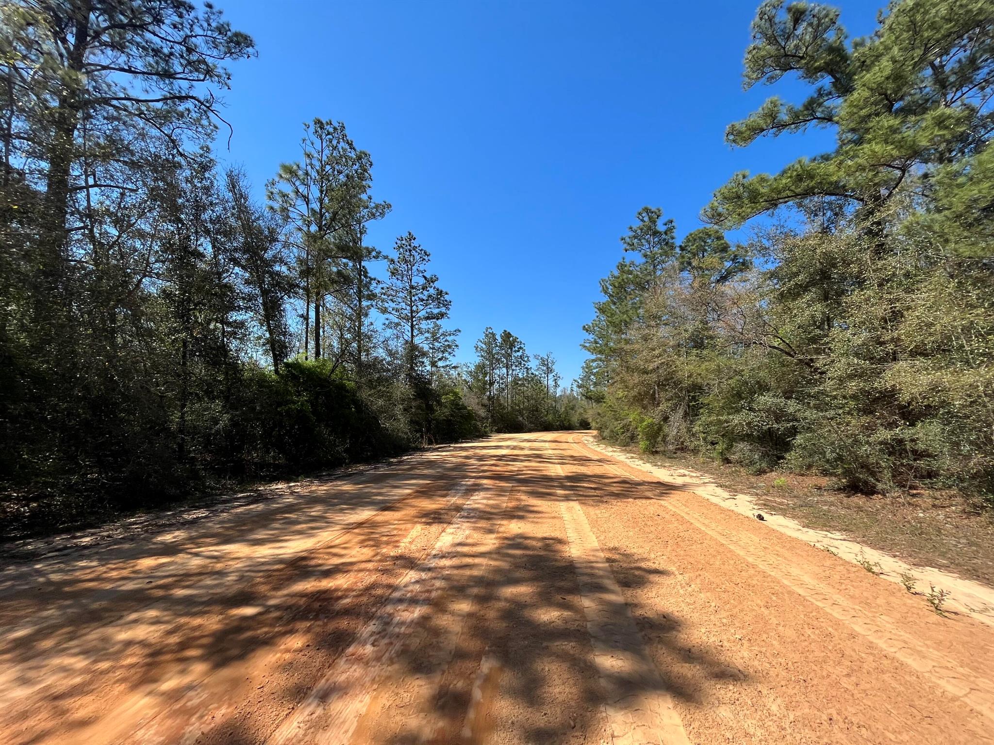 Tbd Rossville Avenue