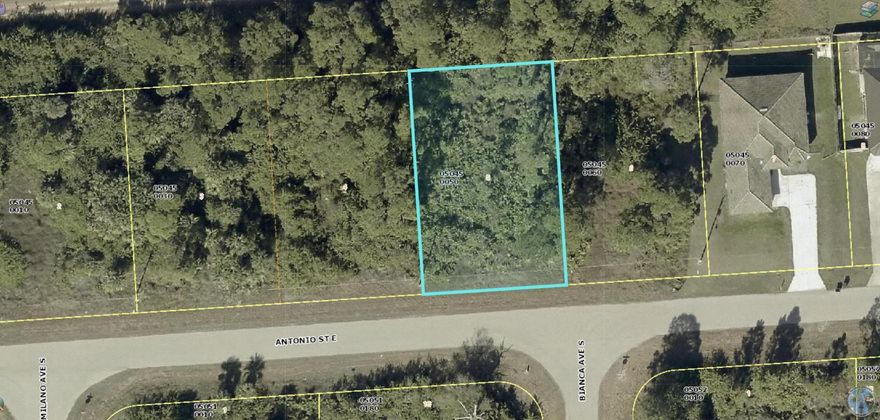 Build your home on this 0.23 acre lot in a fast growing area in Lehigh Acres with neighboring homes nearby. Please verify accuracy of all available utilities.