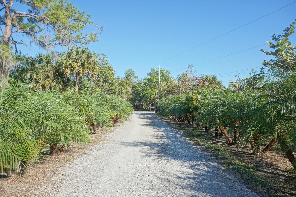 Palm City Farms - Residential