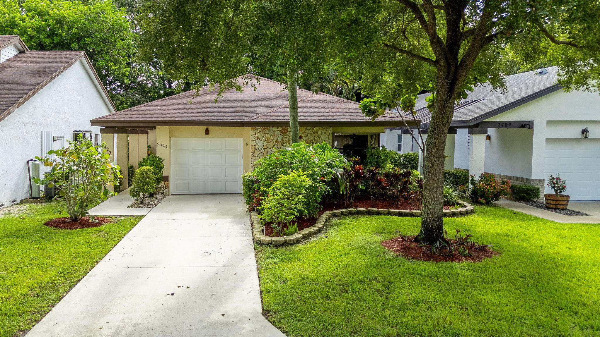 2420 Fiddleleaf Avenue