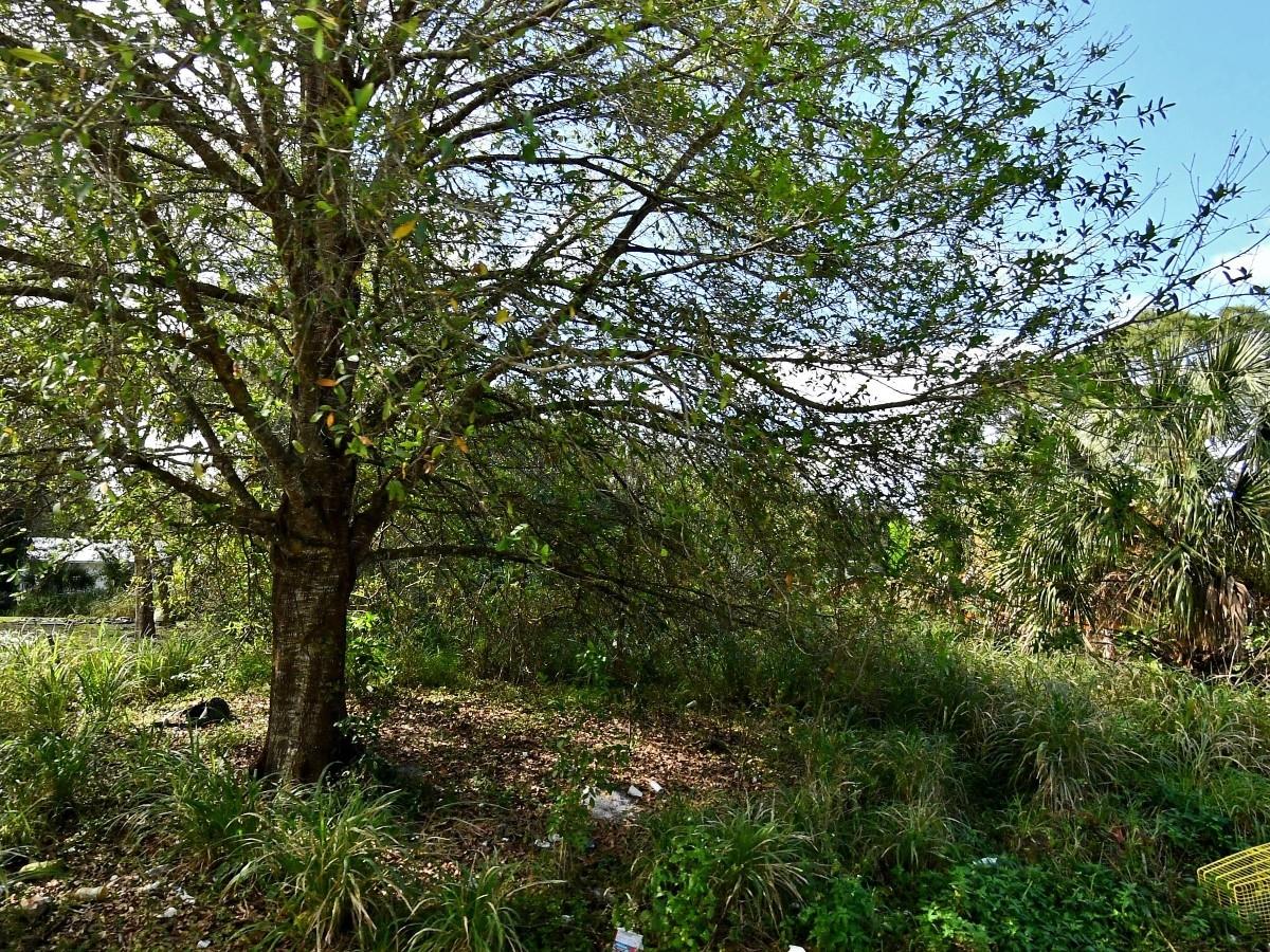 Vacant lot with RM-5 C Zoning in Lakewood Park.