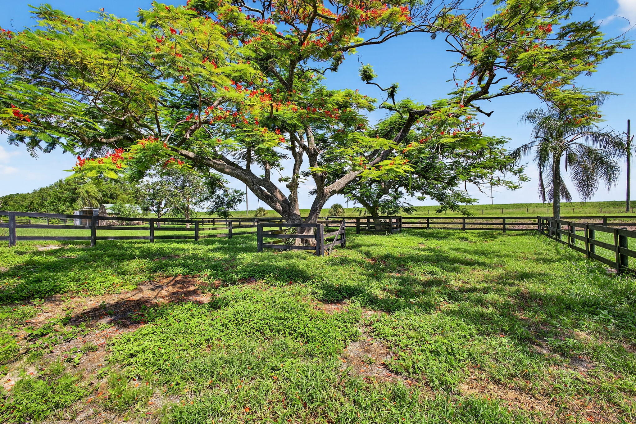 Wellington, Florida, 33470, United States, 4 Bedrooms Bedrooms, ,3 BathroomsBathrooms,Residential,Active,2008727