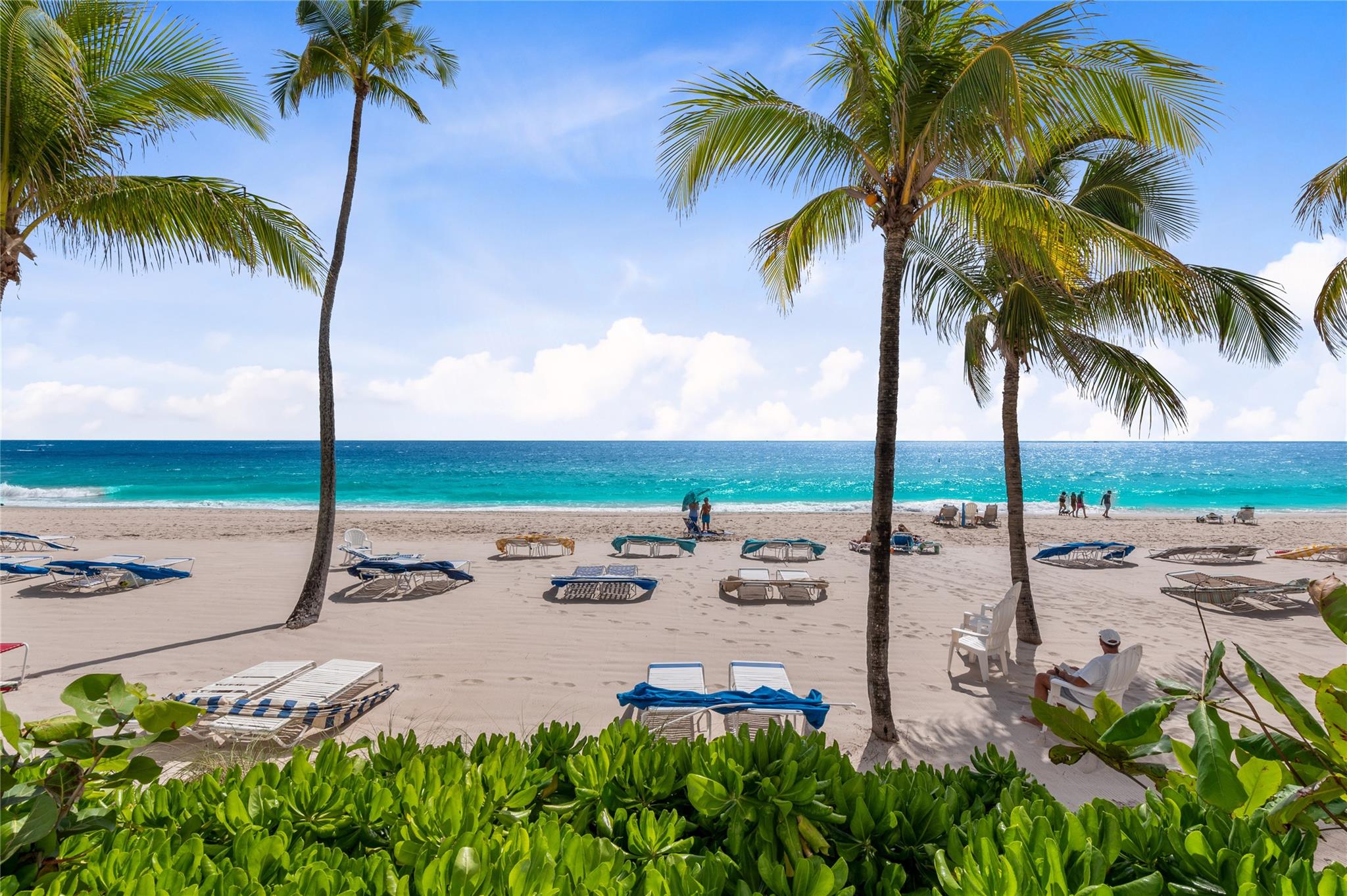 The Commodore - Residential