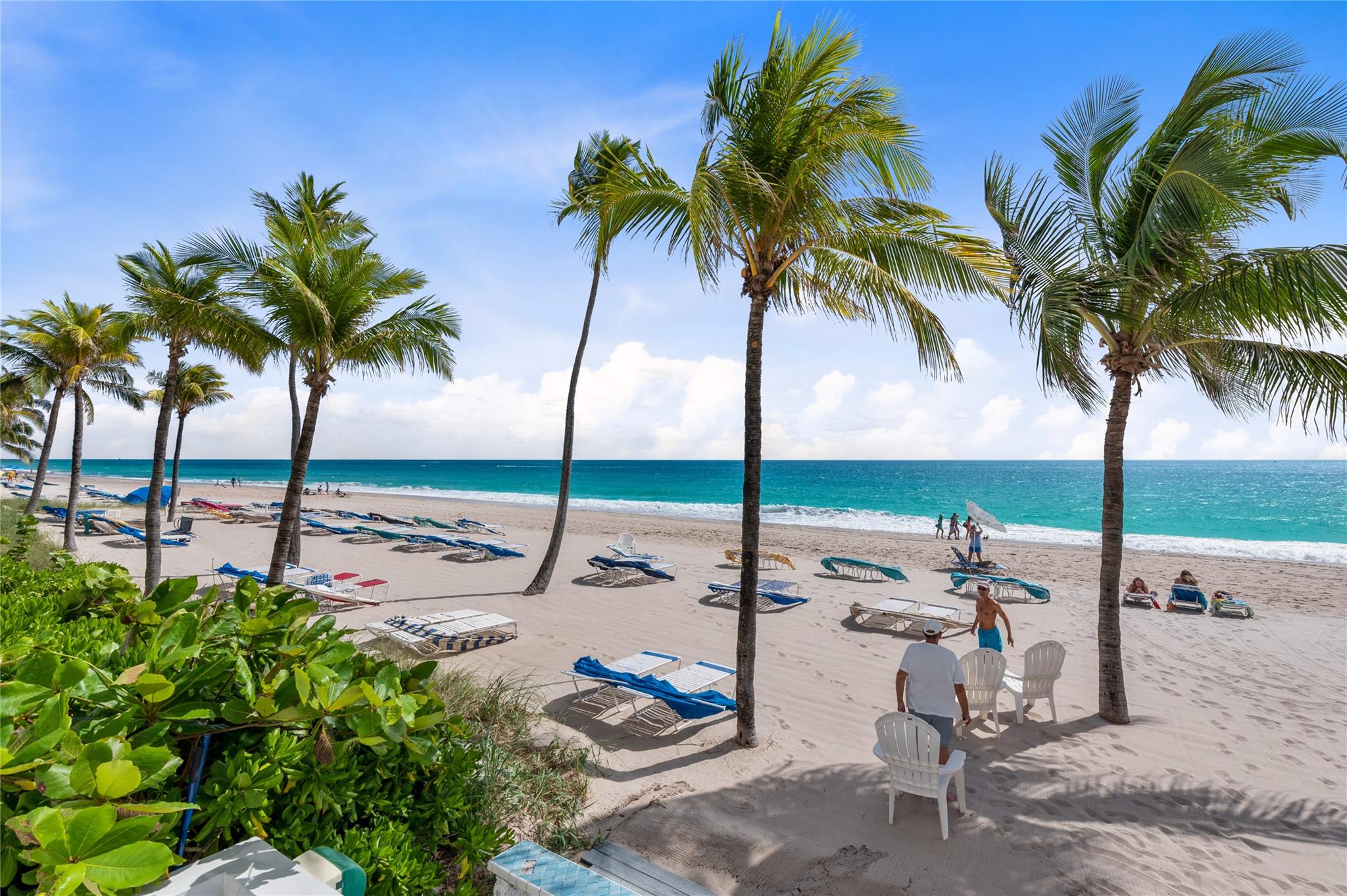 The Commodore - Residential