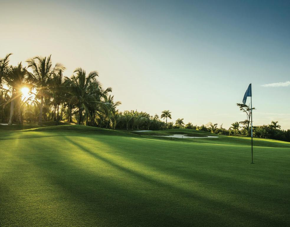 Mandarin Oriental Residences Boca Raton - Residential