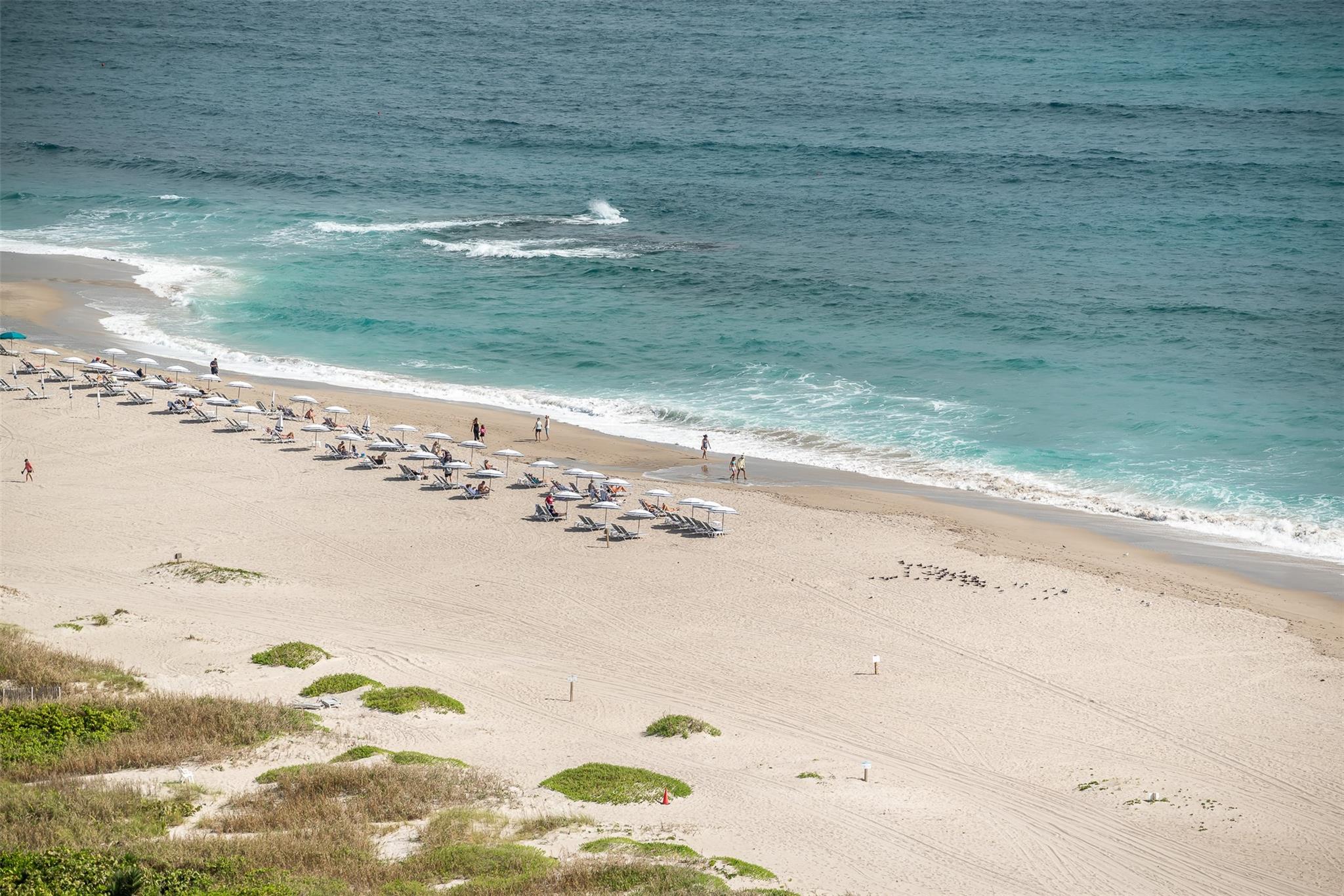 Amrit Resort & Residences - Residential Lease