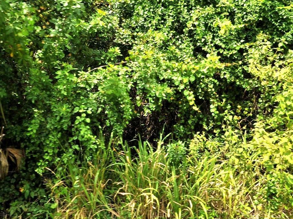 Photo of 3514 Sloan Road, Fort Pierce, FL 34947 (MLS # R10706347)