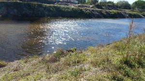 BOCA COVE* - Residential