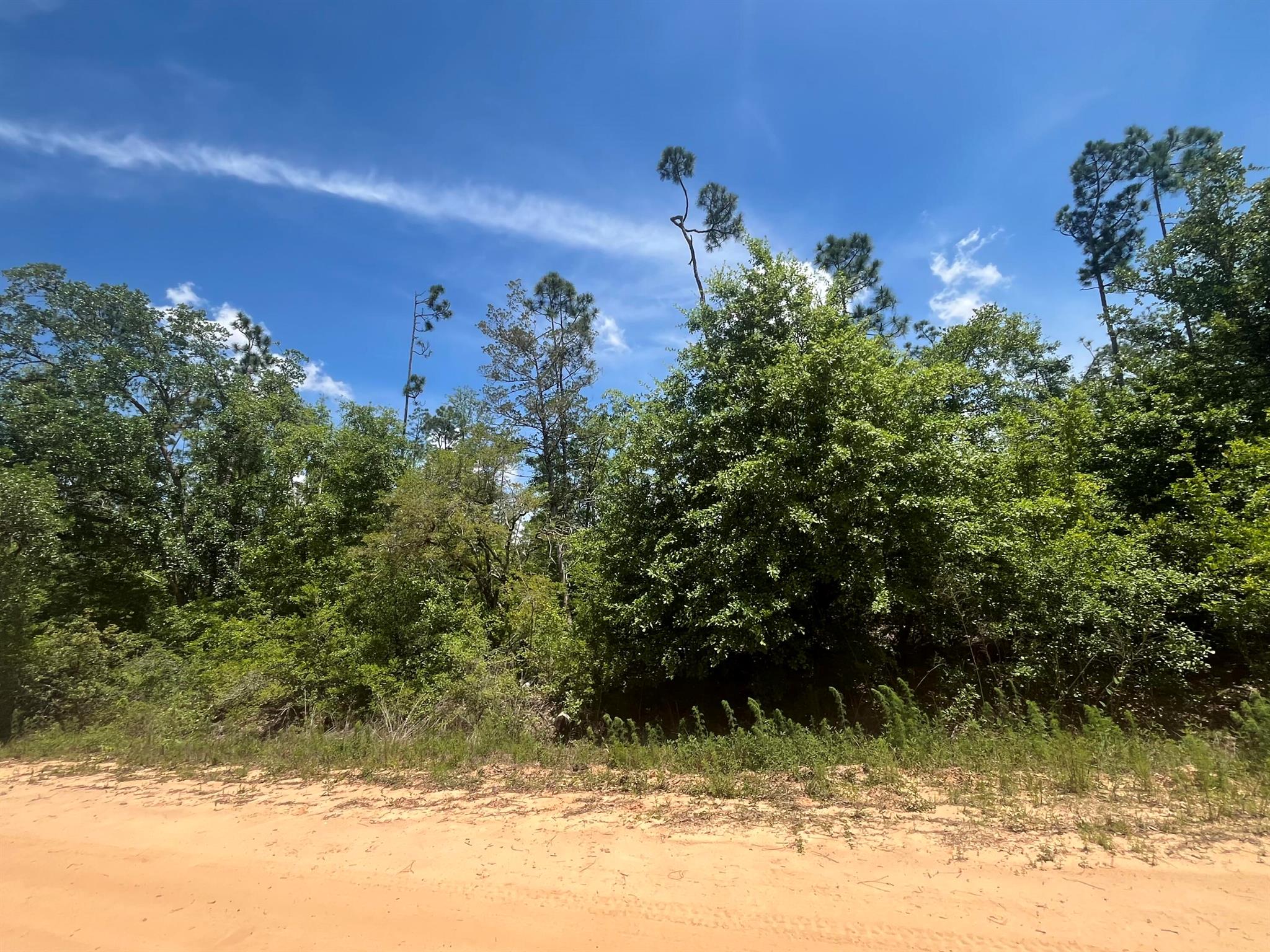 Tbd Tamarac Road