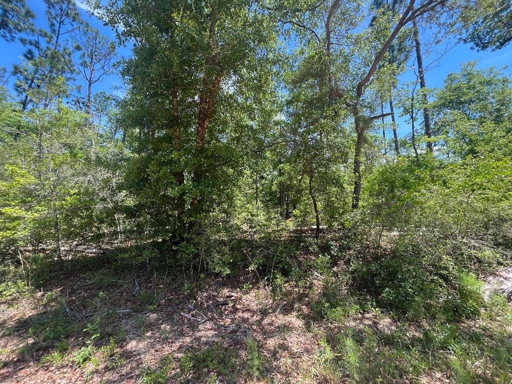 COMPASS LAKE HILLS - Land