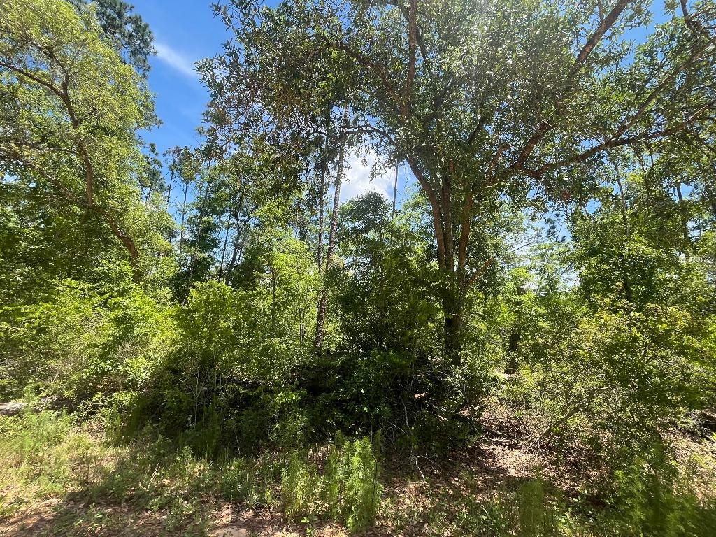 COMPASS LAKE HILLS - Land