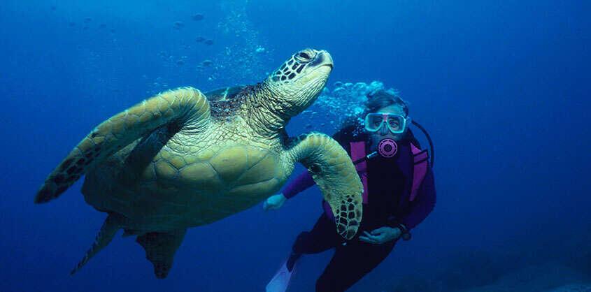 METES AND BOUNDS - Land