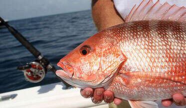 METES AND BOUNDS - Land