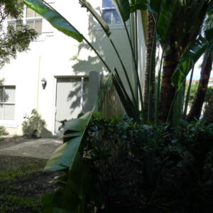 MONTEREY BAY PUD - Residential Lease