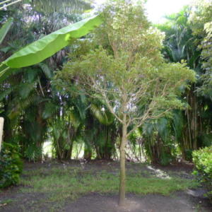 MONTEREY BAY PUD - Residential Lease