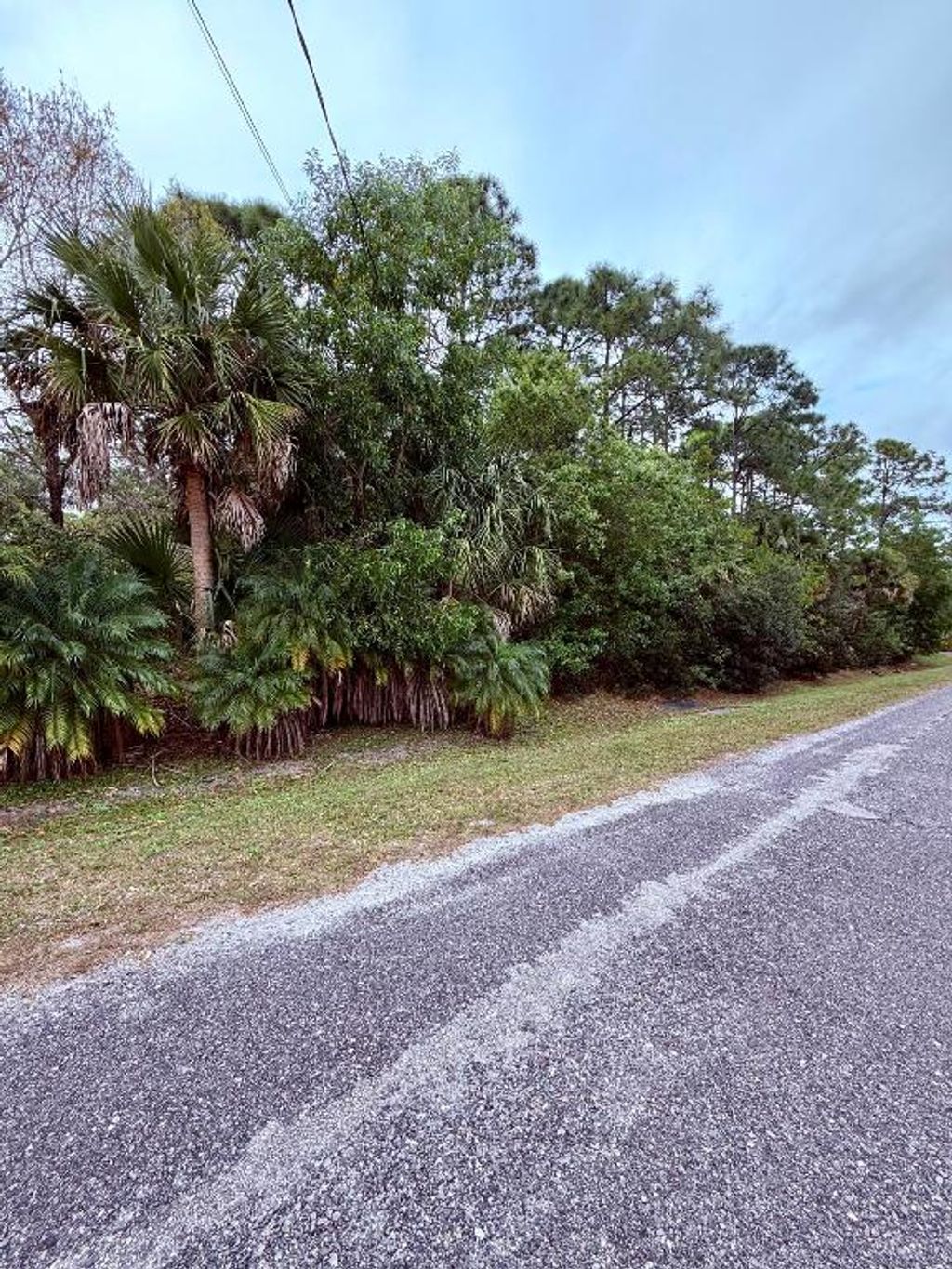 Photo of 0 Silver Oak Drive, Fort Pierce, FL 34982 (MLS # R11154954)