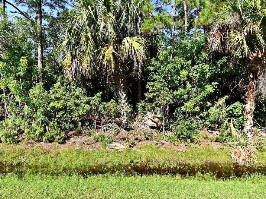 Build your dream home on this BEAUTIFUL 1 Acre wooded lot in the desirable Indian River Estates. Close to restaurants, shopping, golf and the beach! This property is definitely a must see! Water Assessment has been paid in full.