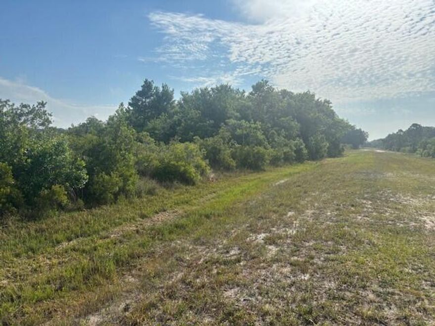 Owner Financing available on this buildable lot in the Prairie. Check out that oak hammock!