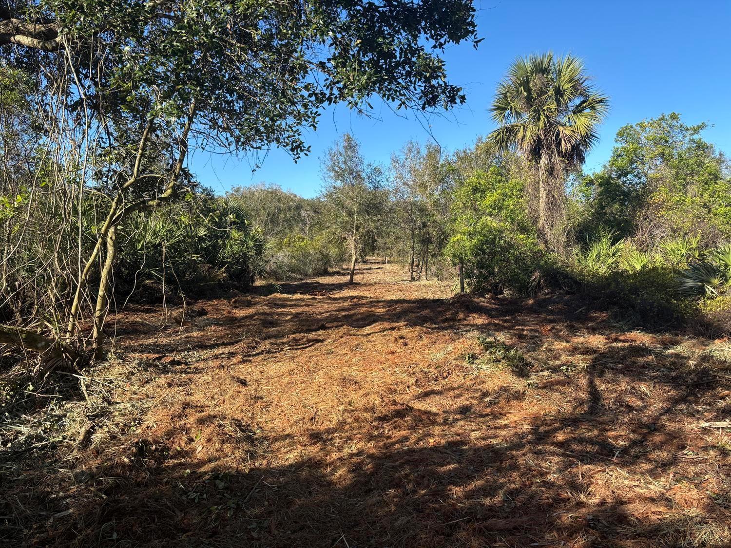 5 acres under $100k in Okeechobee. Take advantage of owner financing and make this property your farm, hunt or camp.
Survey included