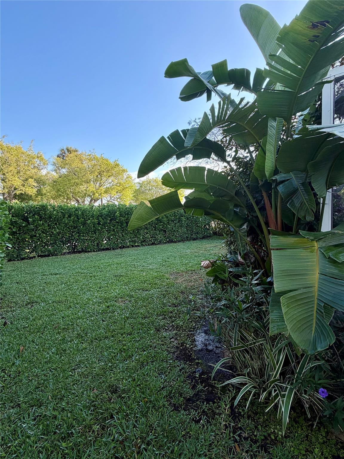 PANACHE AT BOCA POINTE CO - Residential