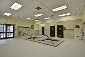 BANYAN SPRINGS - Residential