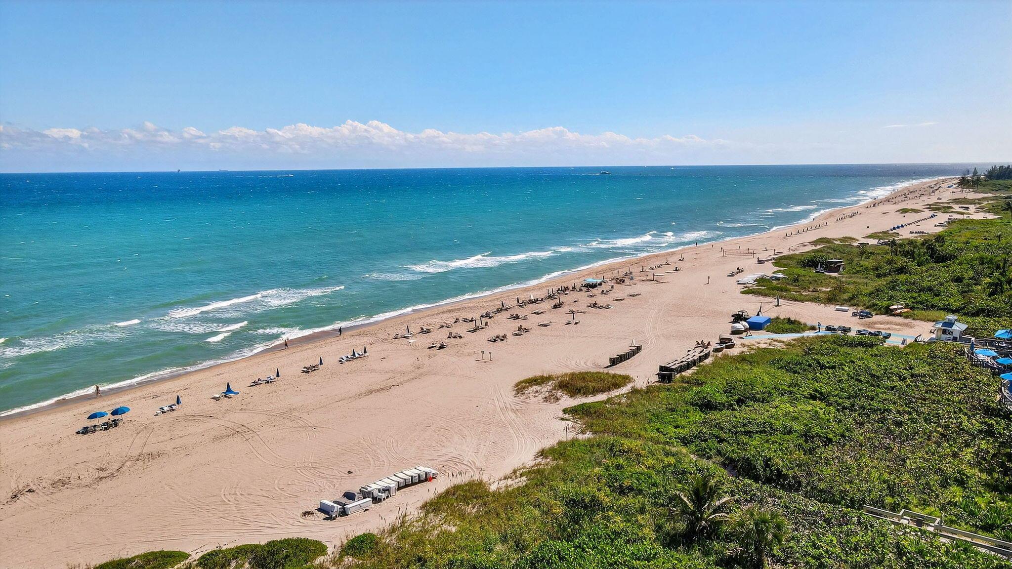 OCEANTREE CONDO - Residential