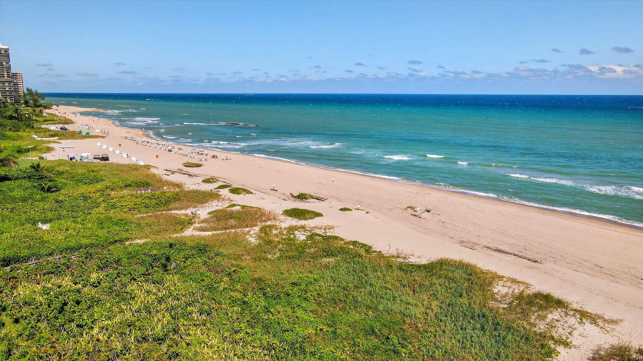 OCEANTREE CONDO - Residential