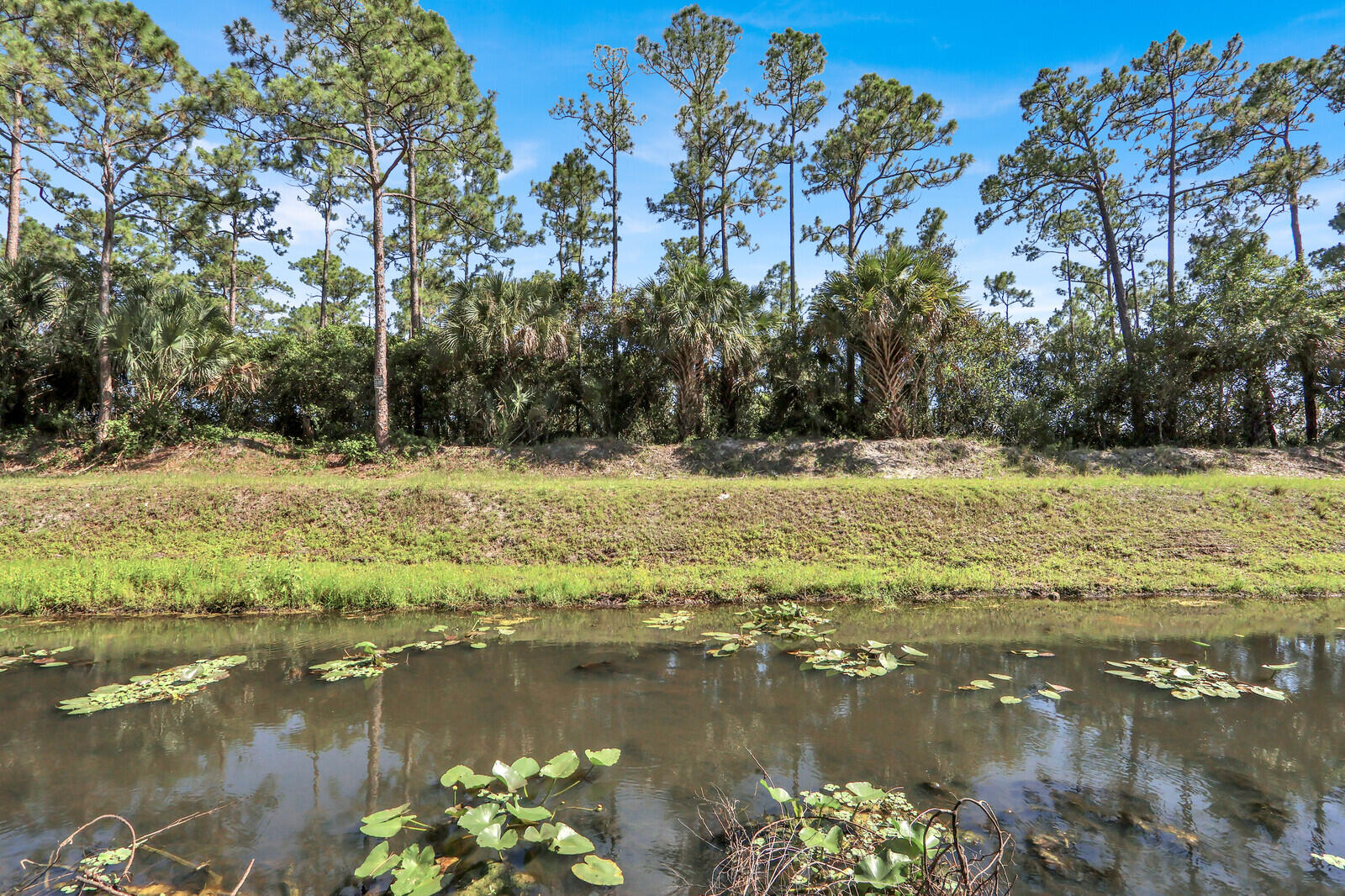 JUPITER FARMS - Residential