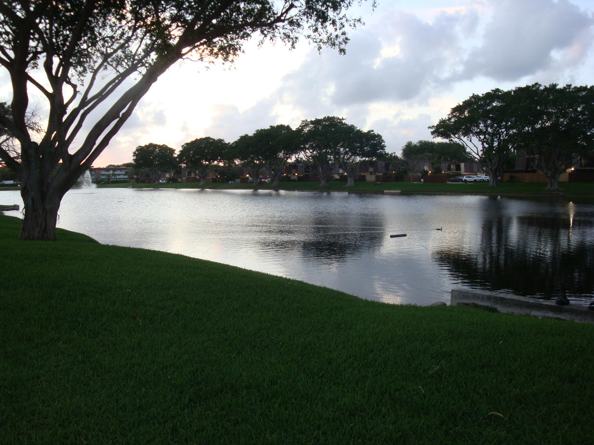 SPRINGDALE HOMES - Residential