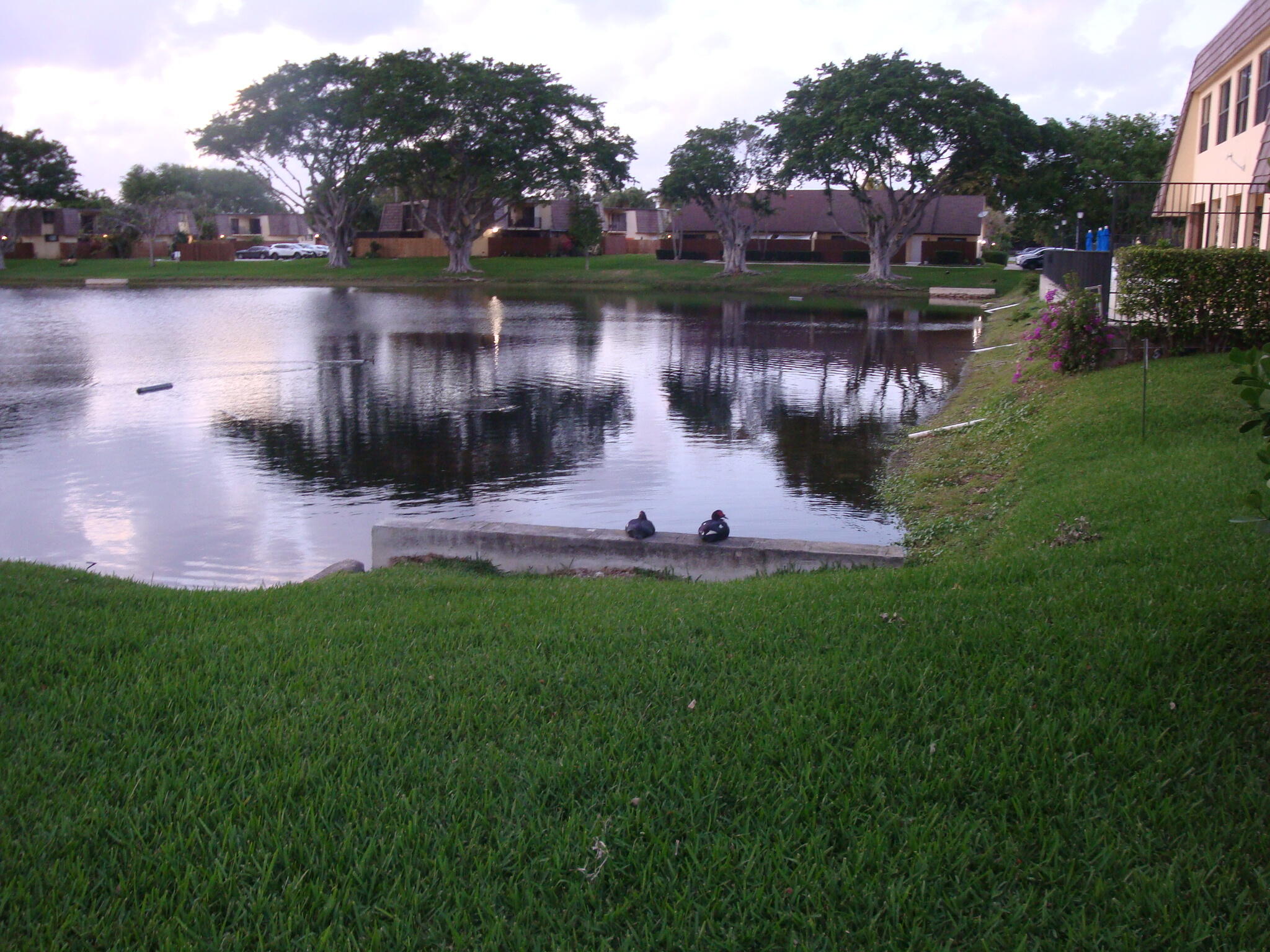 SPRINGDALE HOMES - Residential