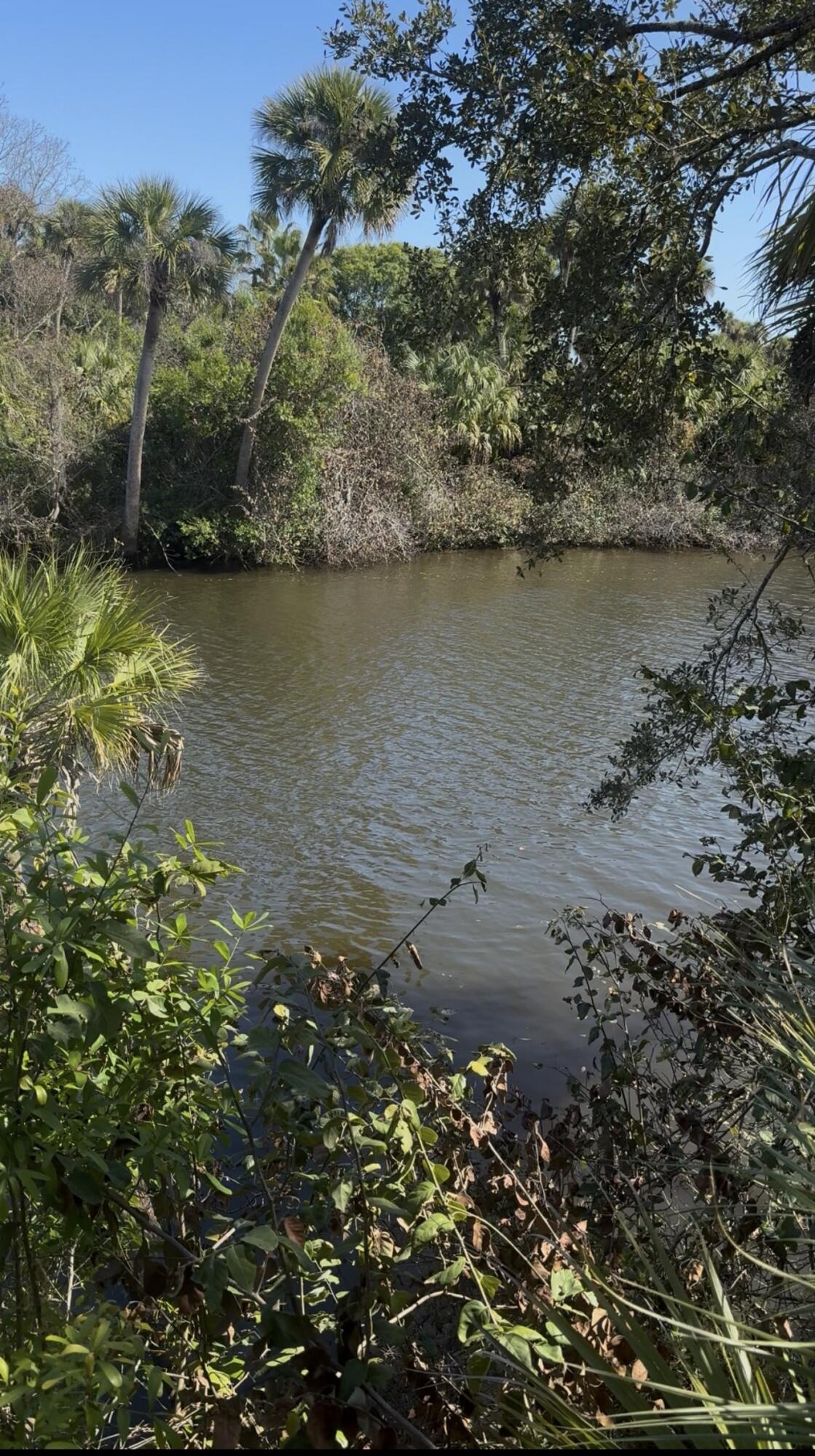 CHARLESTON OAKS PHASE 2 - Land