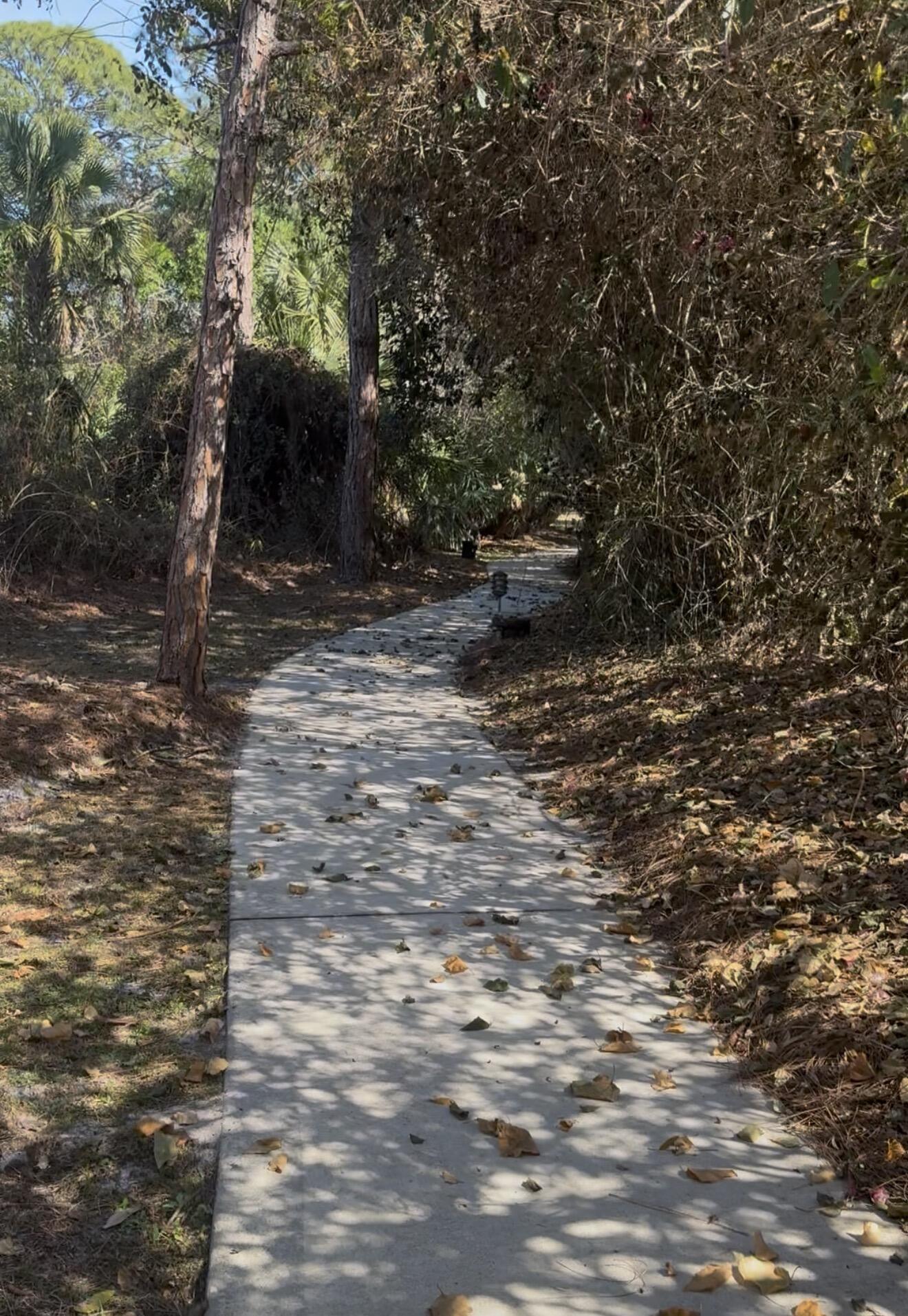 CHARLESTON OAKS PHASE 2 - Land