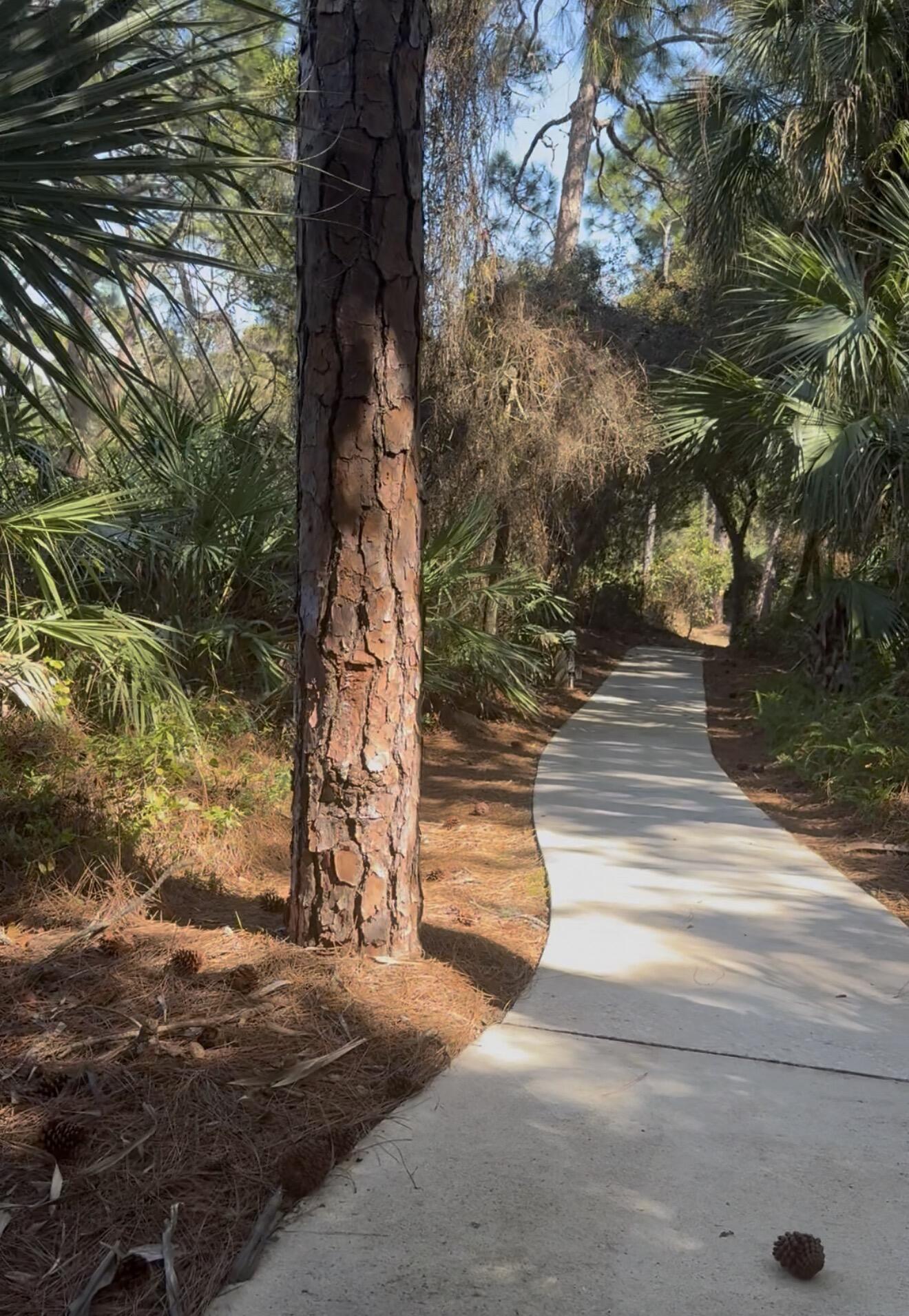 CHARLESTON OAKS PHASE 2 - Land