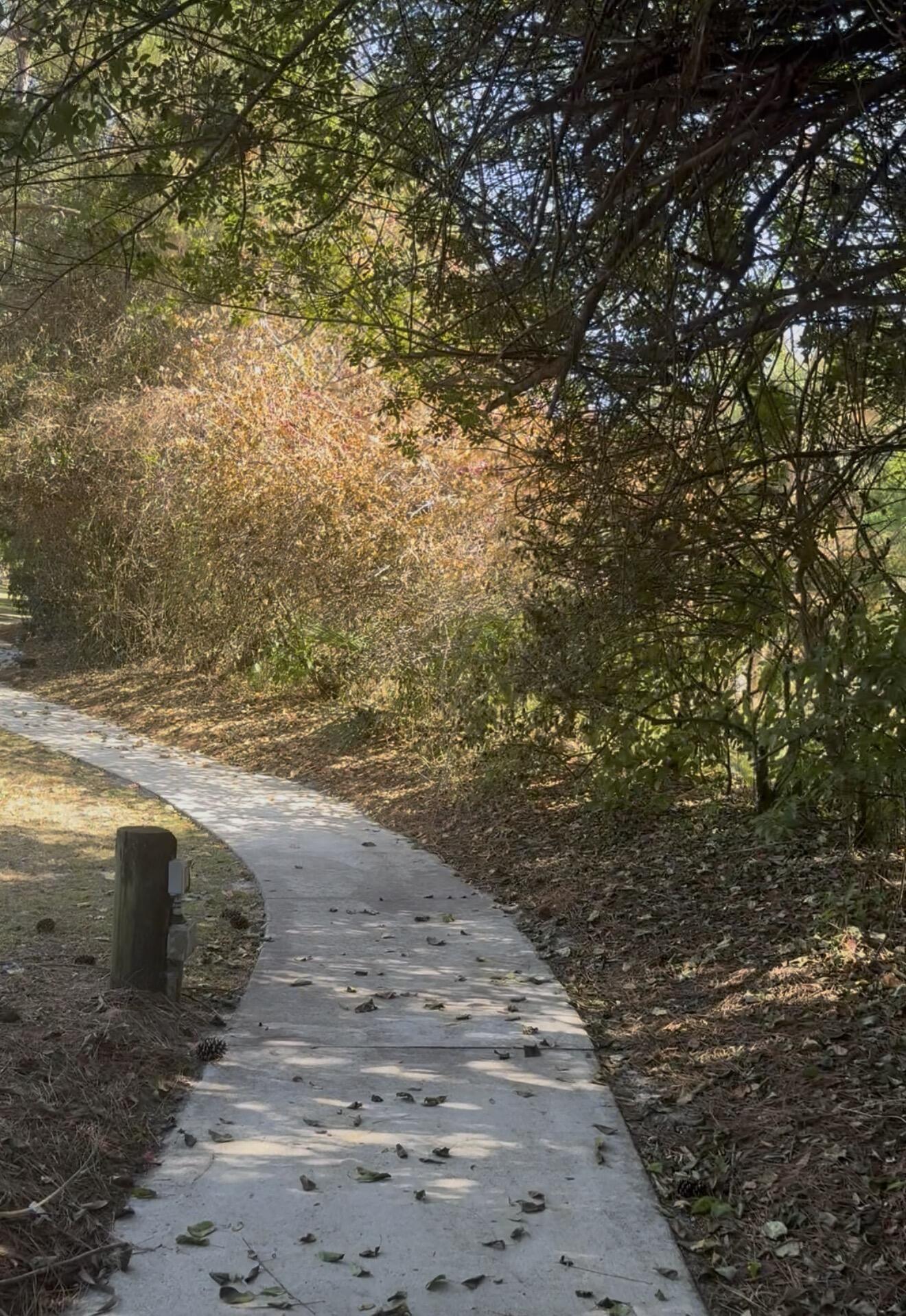 CHARLESTON OAKS PHASE 2 - Land