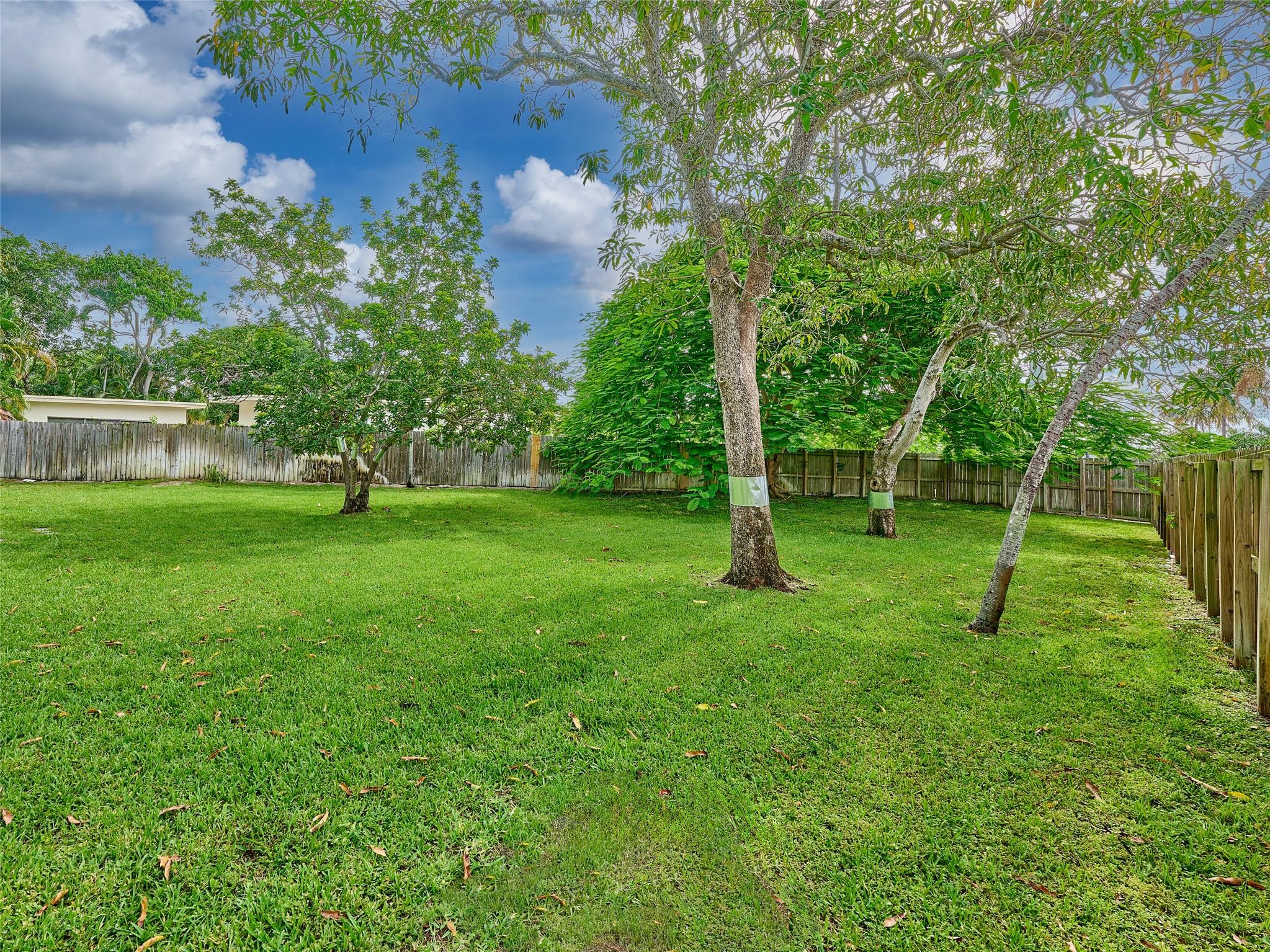 Lauderdale Park 6-33 1/2 - Residential