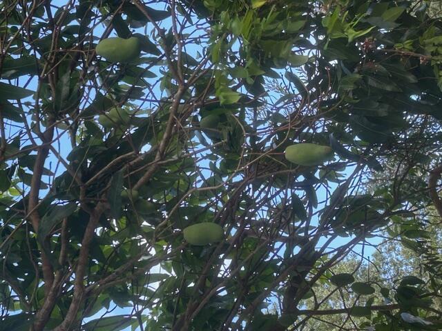 INDIAN RIVER HIGHLANDS UNIT 2 - Residential