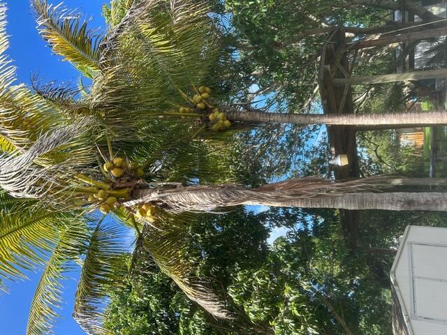 INDIAN RIVER HIGHLANDS UNIT 2 - Residential