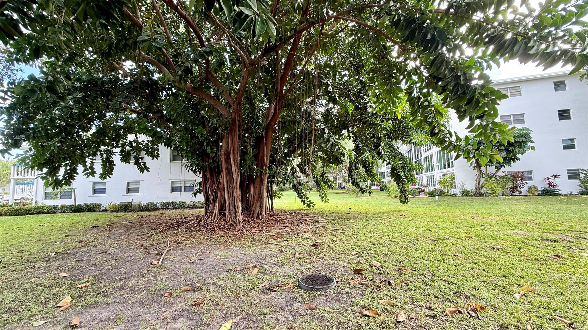 Century Village - Residential